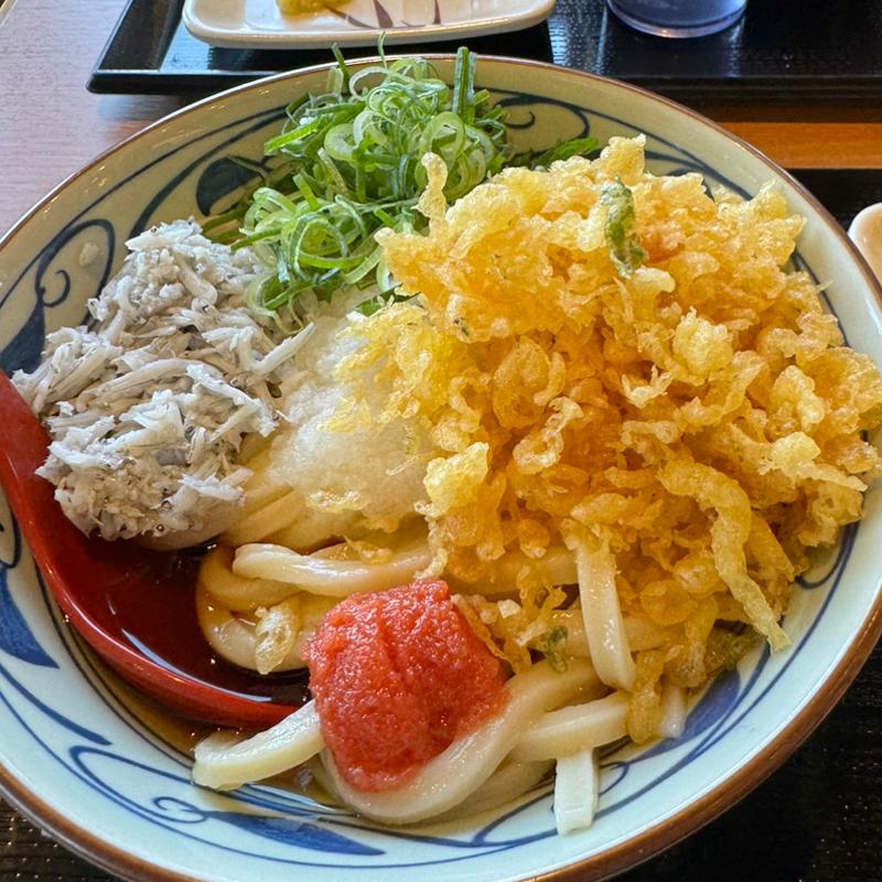 明太しらすおろしうどん(丸亀製麺 長岡店 )