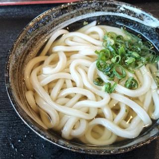 ひやかけ中(セルフうどん 楽や)