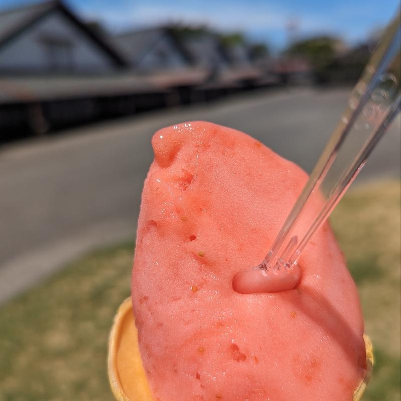 ジェラートシングル（いちごシャーベット）(酒田夢の倶楽 （サカタユメノクラ）)