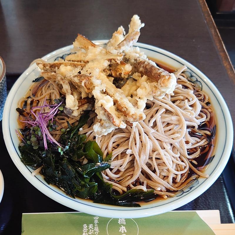 ごぼうの冷やしそば＋大盛り(御蕎麦　はし本　　橋本屋　)