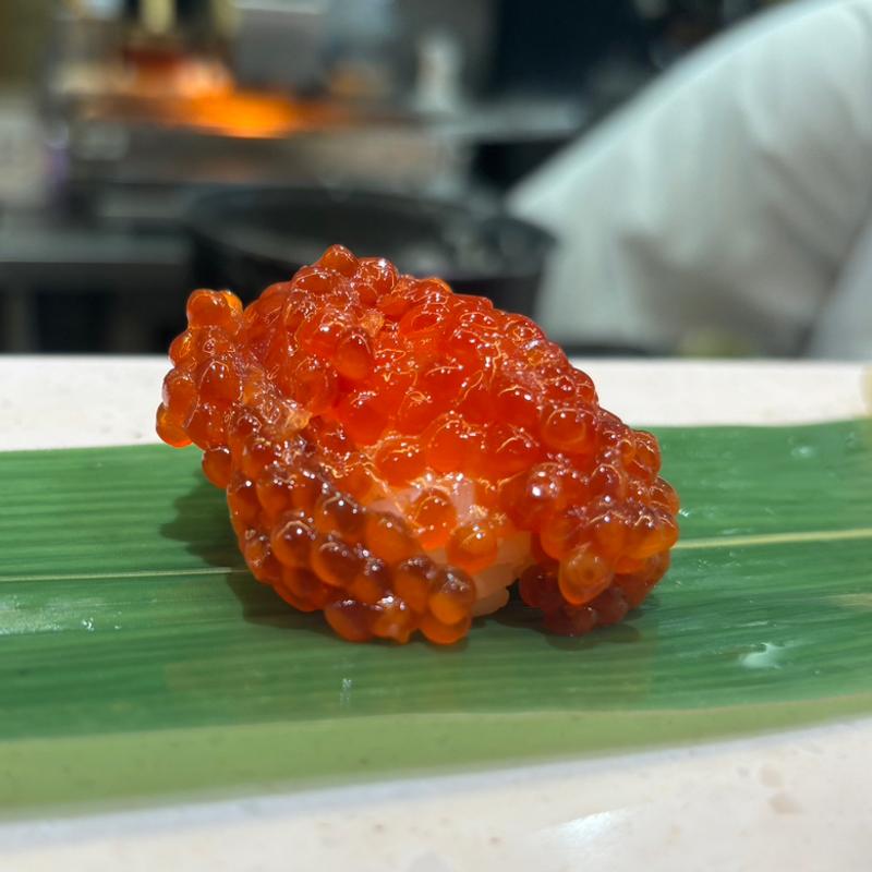 筋子(立ち食い寿司 根室花まる 東京ミッドタウン八重洲店)