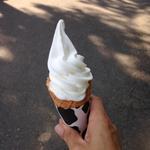 牛乳ソフトクリーム(六甲山牧場ミルクカフェ)