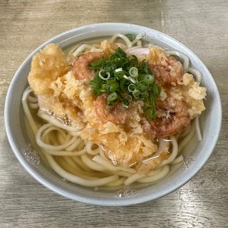 天ぷらうどん(柳川製麺所)