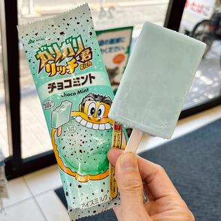 ガリガリ君リッチチョコミント(赤城乳業㈱ 深谷工場)