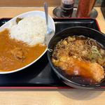 よもだカレー 半たぬきそばセット