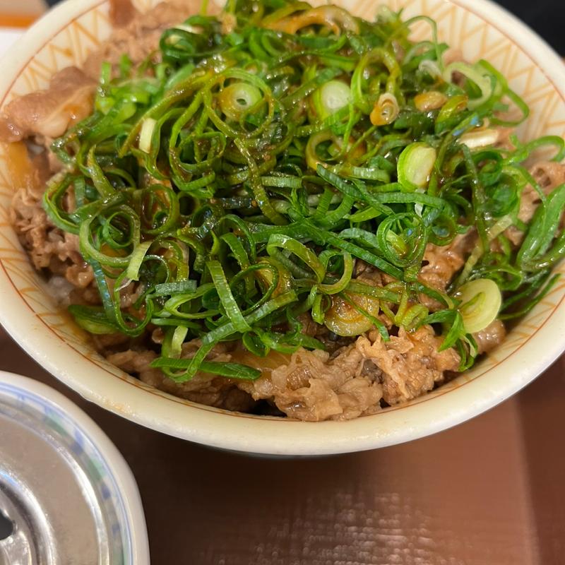 ネギ牛丼(すき家 五泉東本町店 )