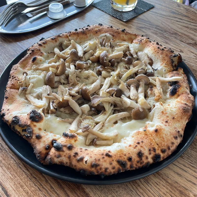 フンギ(RIPPLE (リップル))