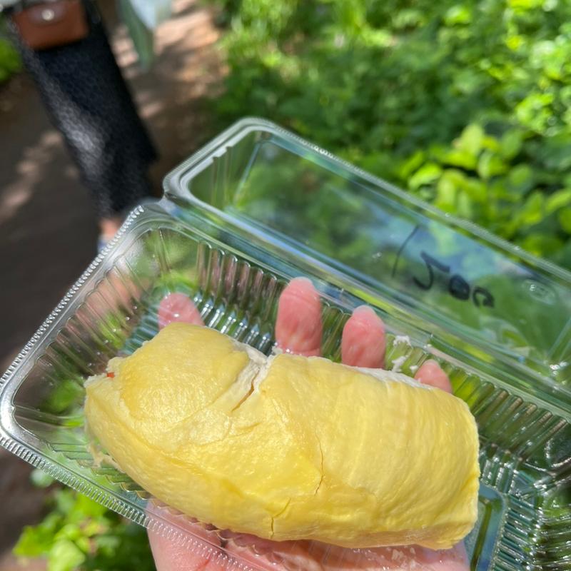 ドリアンの果肉(ドリアン)