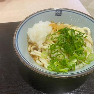 おろしぶっかけ(並)(四代目横井製麺所 イオンモール東員 )