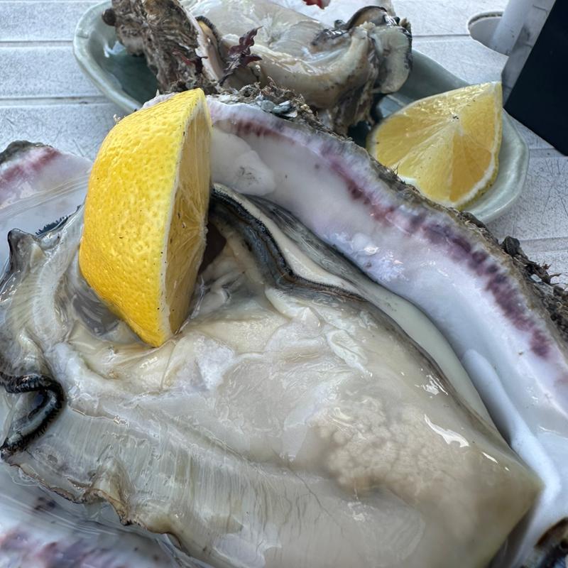 岩牡蠣(灯台茶屋)