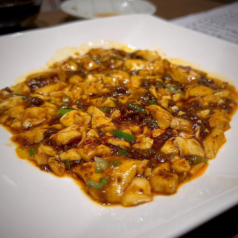本気の麻婆豆腐(これからYa)