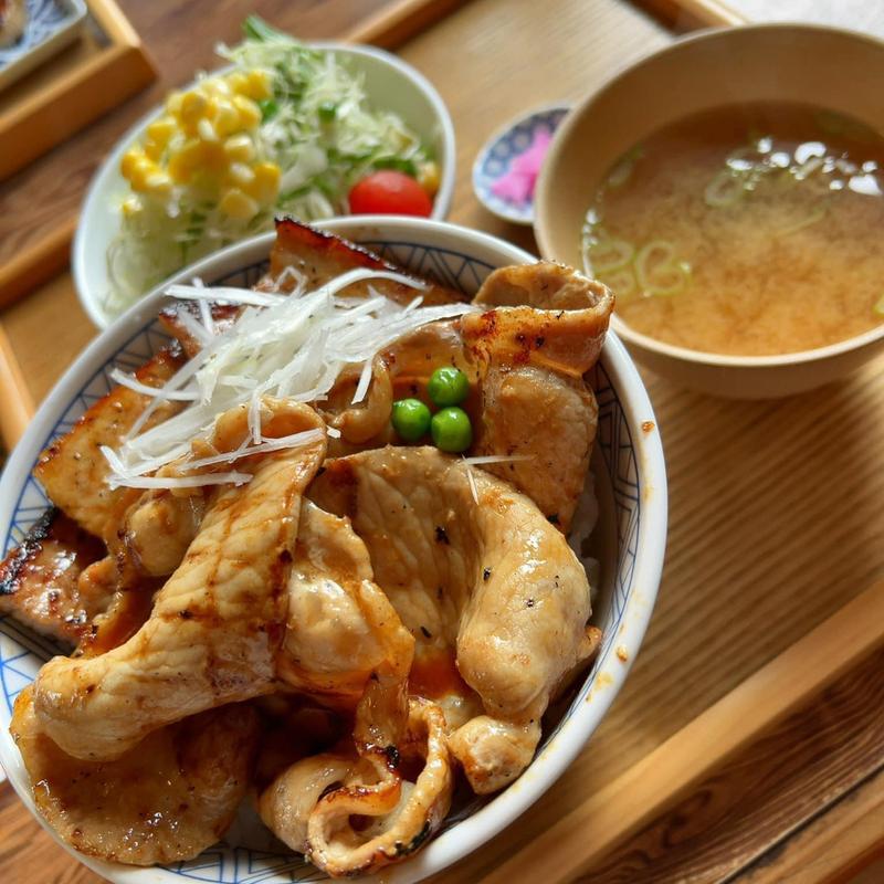 ハーフ&ハーフ丼 肉大盛 サラダ(元祖豚丼屋TONTON 蒲生四丁目店)