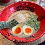 味玉ラーメン(ラー麺ずんどう屋 八尾志紀)