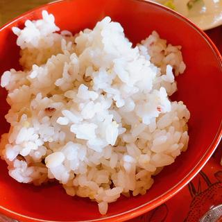 雑穀米（おまかせランチ）(九品寺 しろがね)