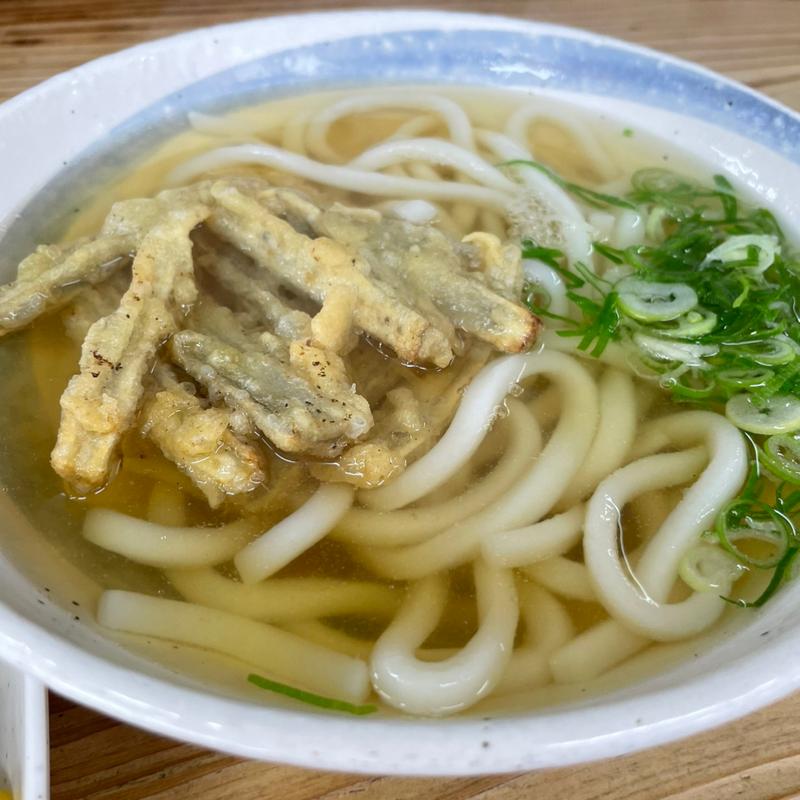 ごぼう天うどん(弥太郎うどん)