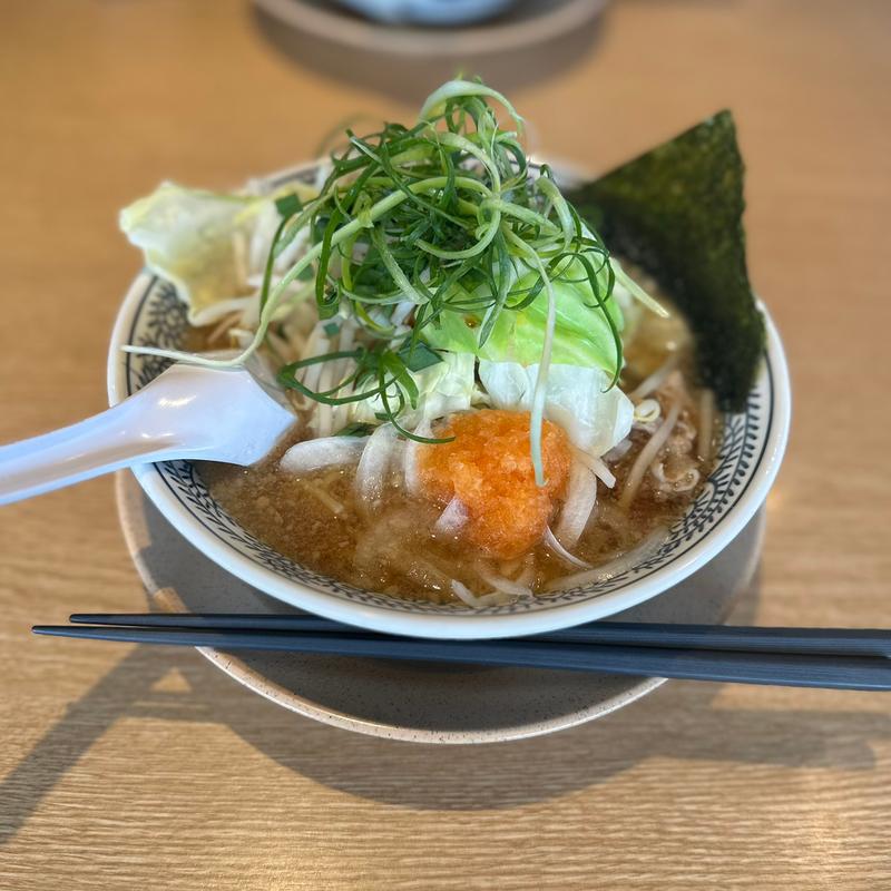 野菜肉そば(丸源ラーメン 羽曳野店)