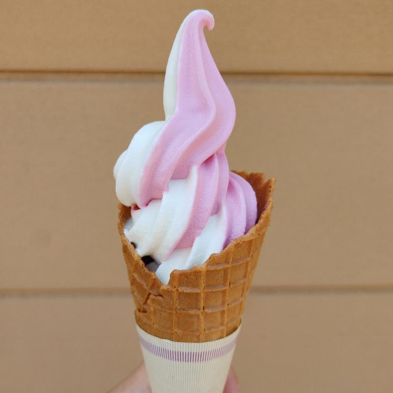 ソフトクリーム ミックス(パティオ　京成バラ園)