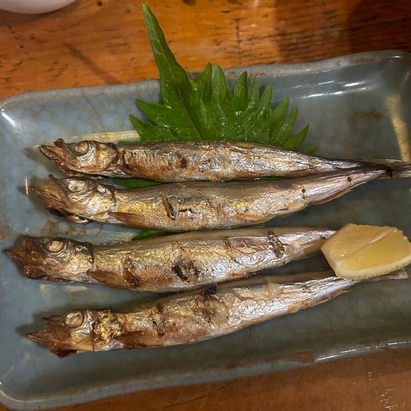 ししゃも(一楽 )