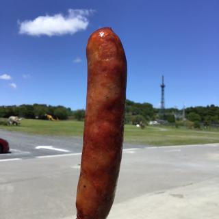 前沢牛入りフランクフルト(岩手サファリパーク 食堂・軽食コーナー )