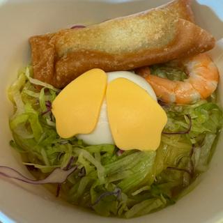 スペシャルセット　春巻きとエビの冷やし麺（ゆず塩）