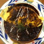 ハヤシオムライス