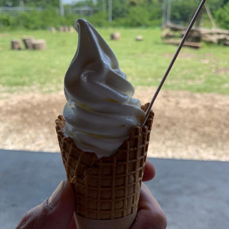 ソフトクリーム(磯沼ミルクファーム（磯沼牧場）)