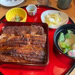 上うな重
