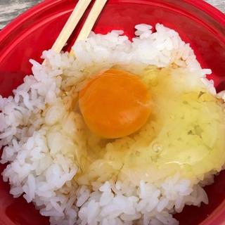 天空の卵かけご飯