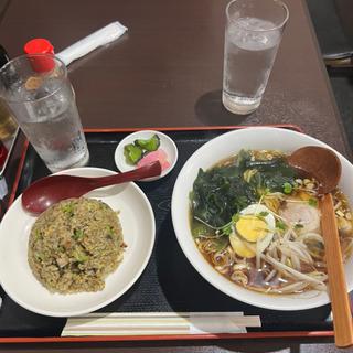 本日のランチ(周礼)