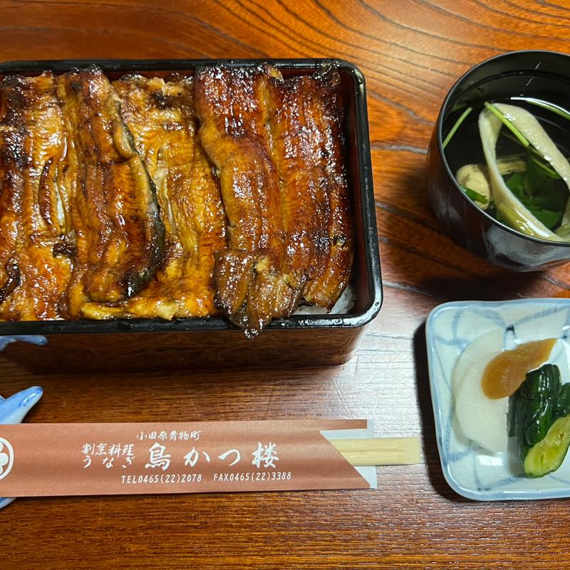 うな重　松(割烹料理･うなぎ 鳥かつ楼)