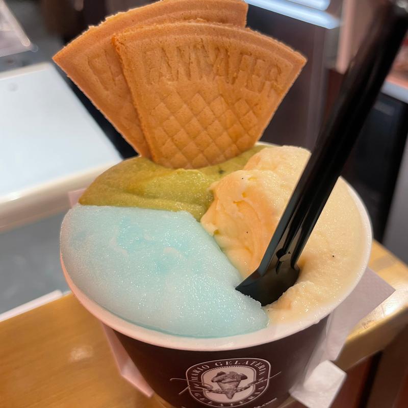 Mサイズ（3種）(プレミアム マリオジェラテリア 伊勢丹新宿店)