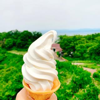 ソフトクリーム(弥彦山頂展望食堂 )