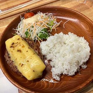 ハンバーグディッシュ(びっくりドンキー道頓堀店)