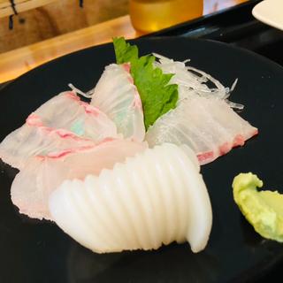 ひげそり鯛とアオリイカの刺身_刺身定食(ずぼらや四季)