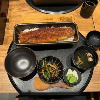 蒲焼き1本重(うなぎ四代目菊川 羽田エアポートガーデン店)