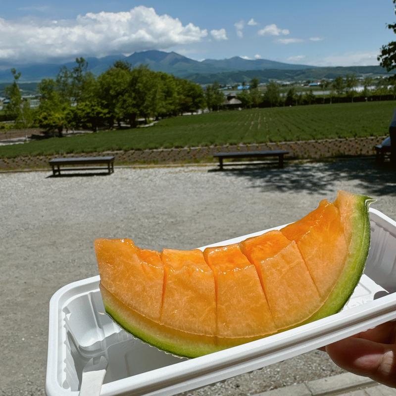 メロン(ファーム富田)
