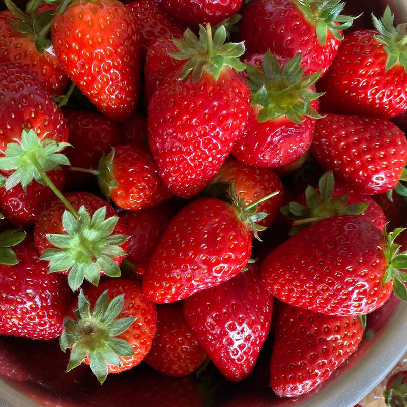 イチゴ(紀ノ川サービスエリア（上り線）)