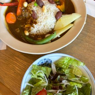 薬膳野菜カレーセット(ichigendo)