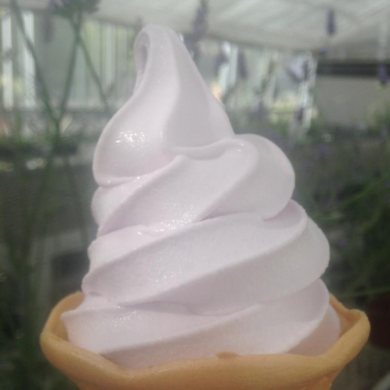 ラベンダーソフトクリーム(カオルカフェ （Kaoru　Cafe）)