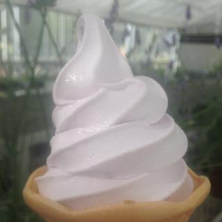ラベンダーソフトクリーム(カオルカフェ （Kaoru　Cafe）)