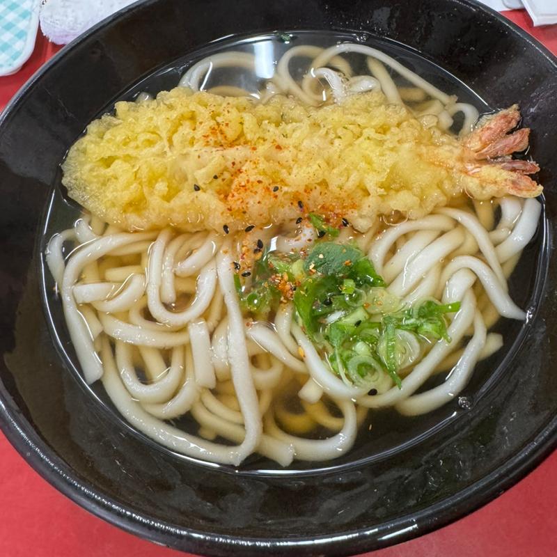 2024ニユー天ぷらうどん(たつみや)