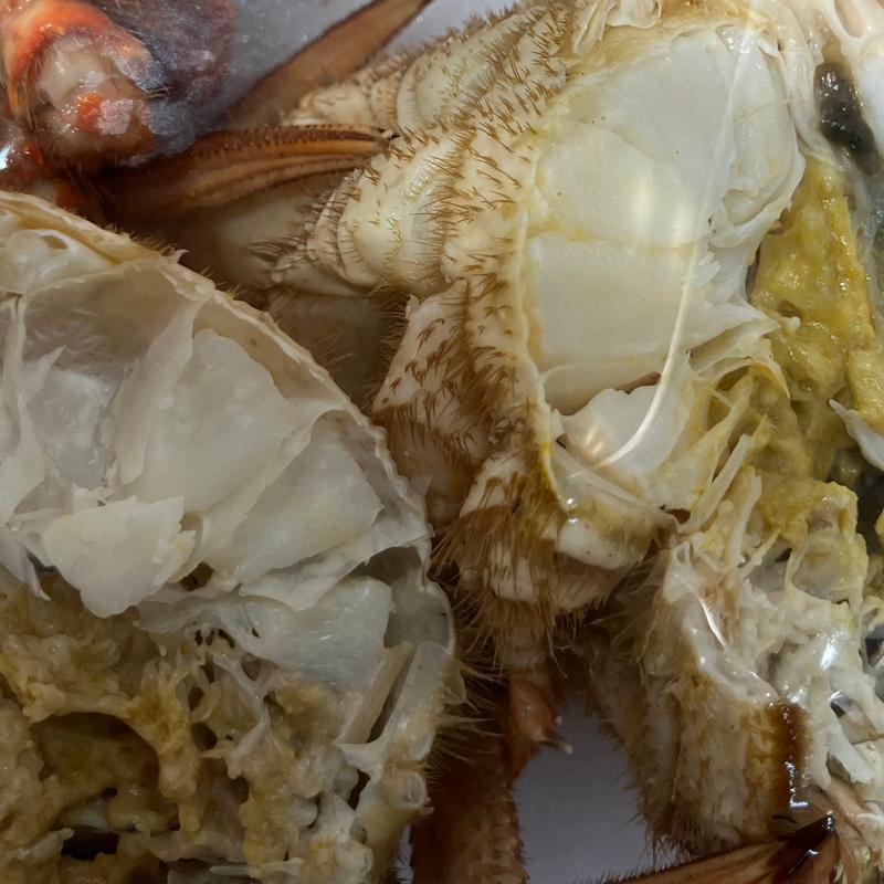 蟹(岸和田市 地蔵浜みなとマルシェ)