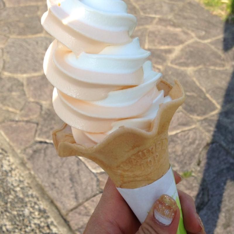 みかんソフトクリーム(岸和田サービスエリア（下り線）レストラン )