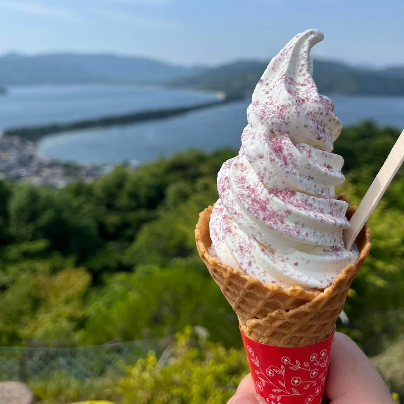 天橋立赤ワイン塩ソフトクリーム(天橋立ワイナリー)