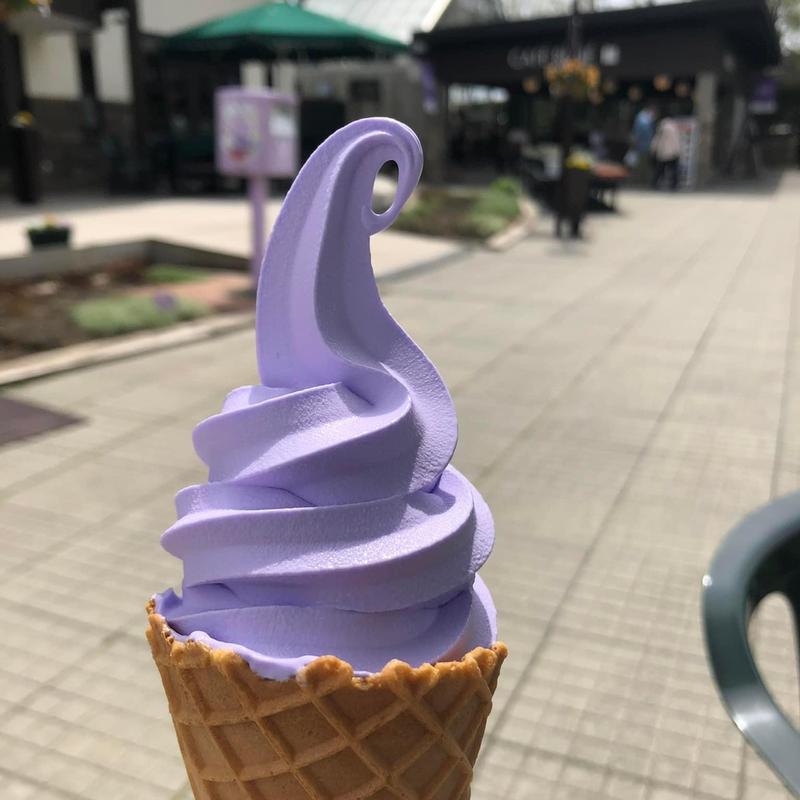 ラベンダーソフト(ファーム富田 ラベンダーイースト)