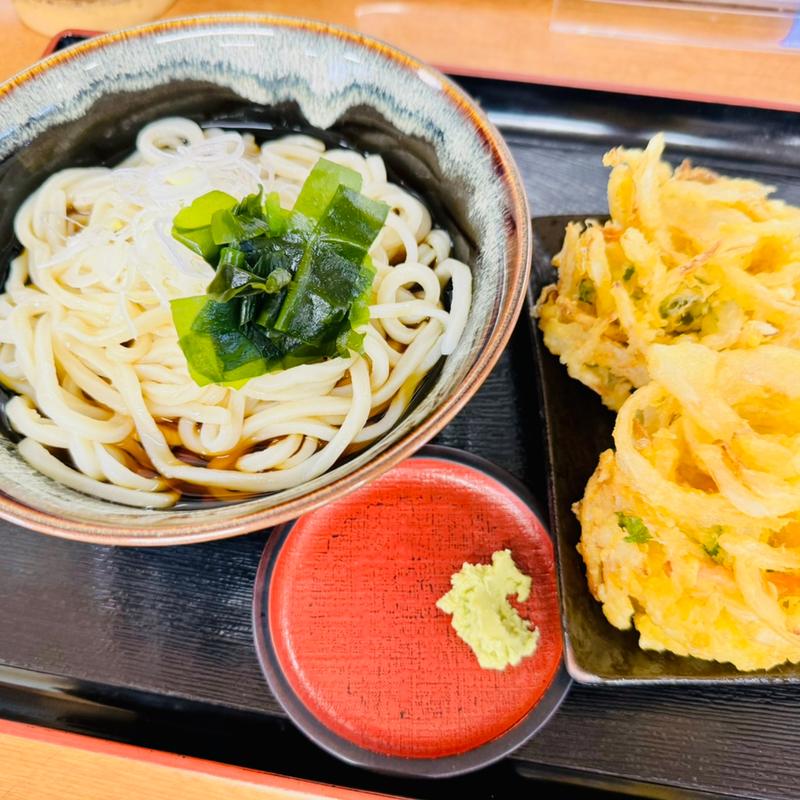 冷かけうどん＋かき揚げ(むじな庵本店)