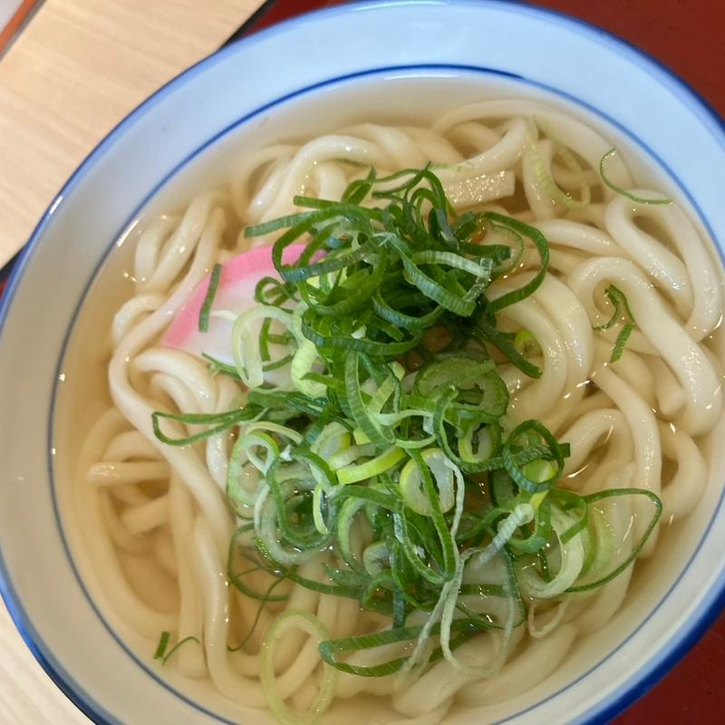 かけうどん(サガミ 守山店 （さがみ）)