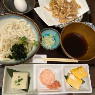 博多ごぼう天うどん