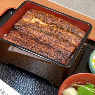 特上 太丸一匹(鰻 才谷や 八尾店)