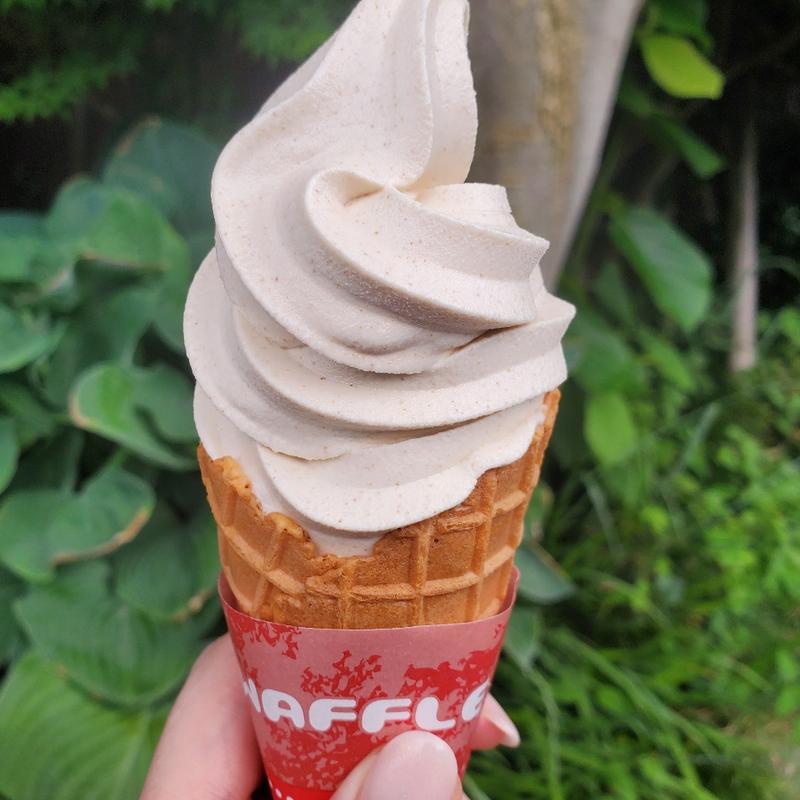 そば粉アイスクリーム(めん工房さかい （酒井製麺所）)